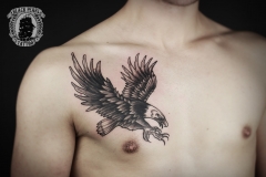 Adler Brust Nori Tattoo